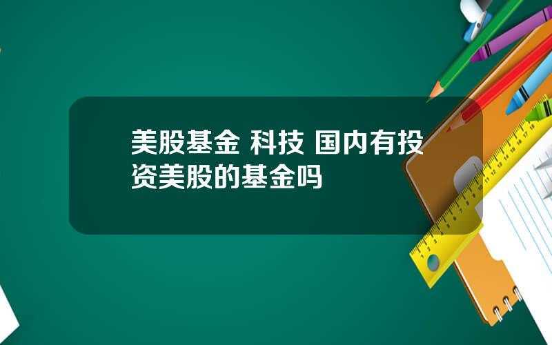 美股基金 科技 国内有投资美股的基金吗